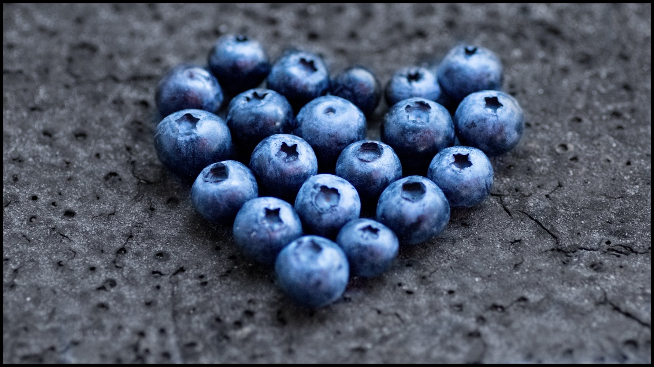 blueberries berry form close up photo