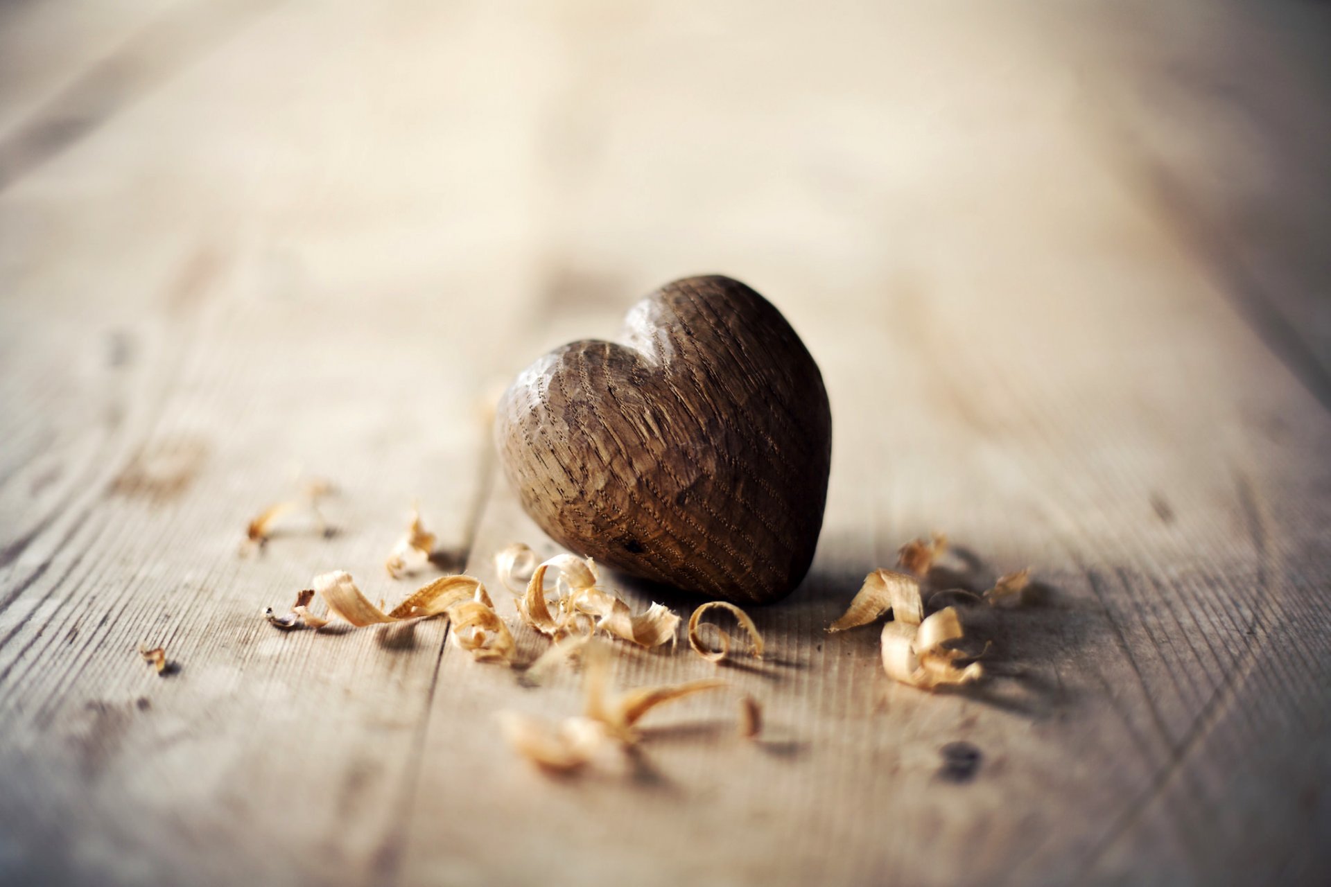 coeur coeur en bois copeaux sciure de bois