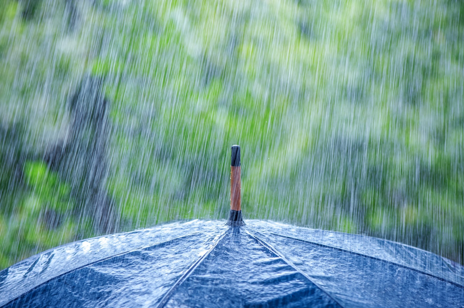 makro deszcz ulewa parasol