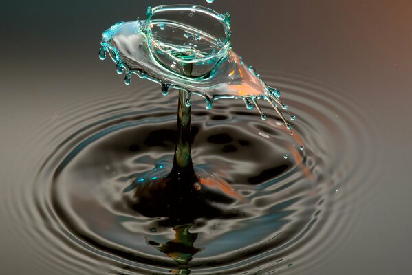 Multicolored splashes of water forming a circle