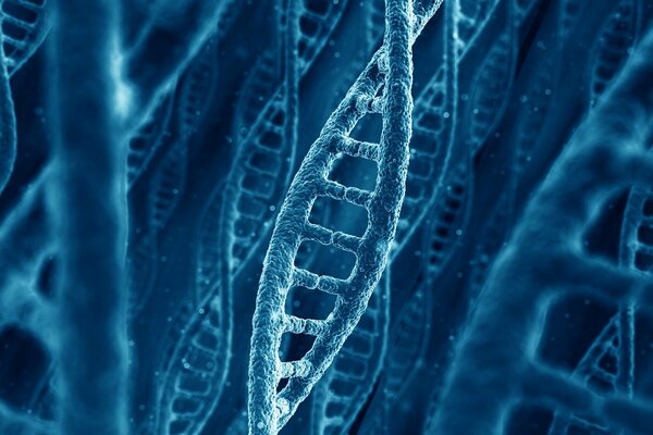 Molécula de ADN cadena de genes