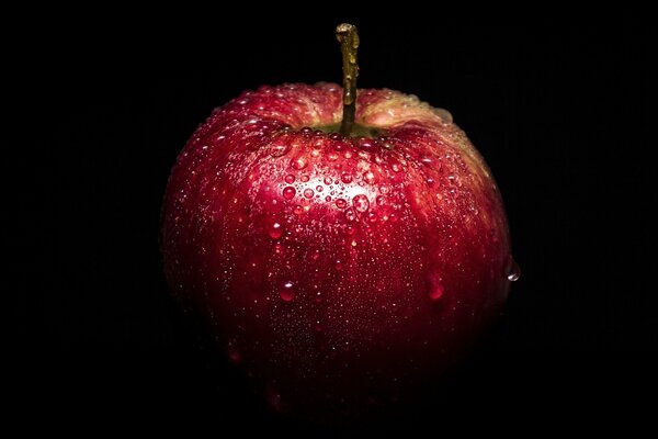 Manzana húmeda. Con gotas de rocío. Manzana roja sobre fondo negro