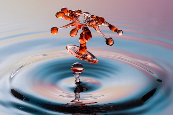 Gota de agua en la puesta del sol muy bien macro