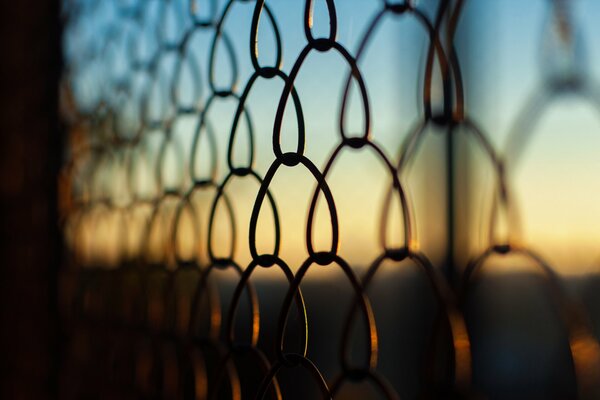 Foto macro di reticolo su sfondo tramonto