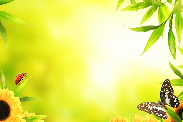 Leaves sunflower flowers and butterflies