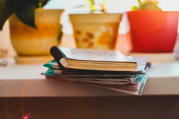 Notebooks on the windowsill with flower pots