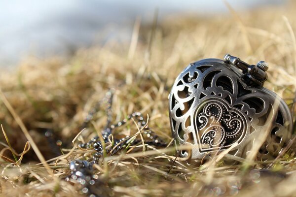 Heart-shaped pendant in the middle of withered grass