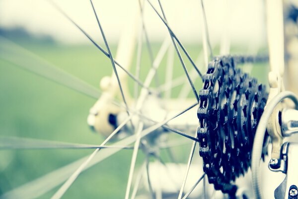 Foto dettagliata della ruota di bicicletta