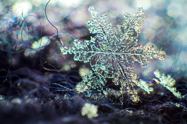 Copo de nieve macro en el resplandor de fondo