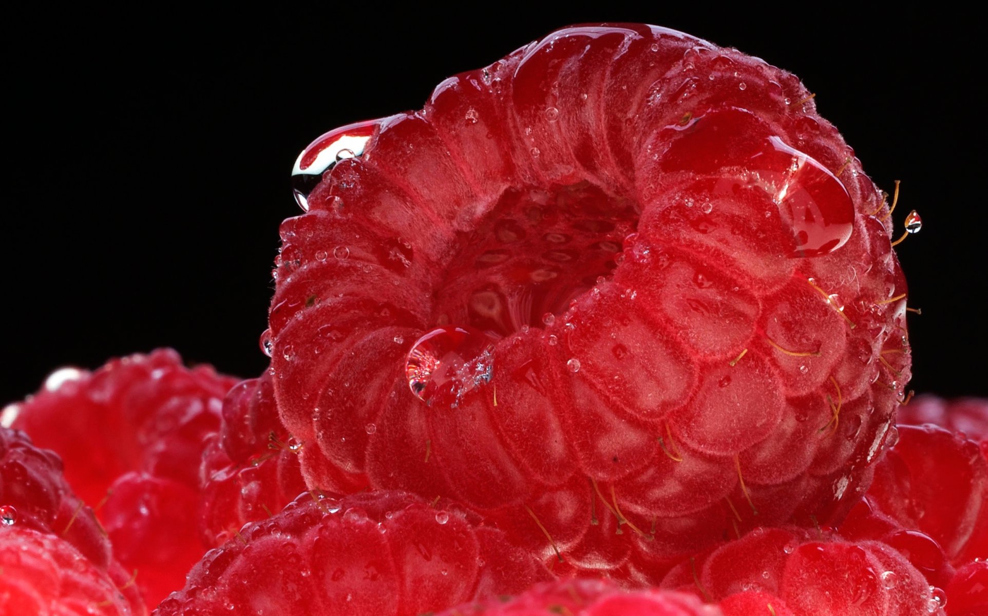 berry-raspberry background