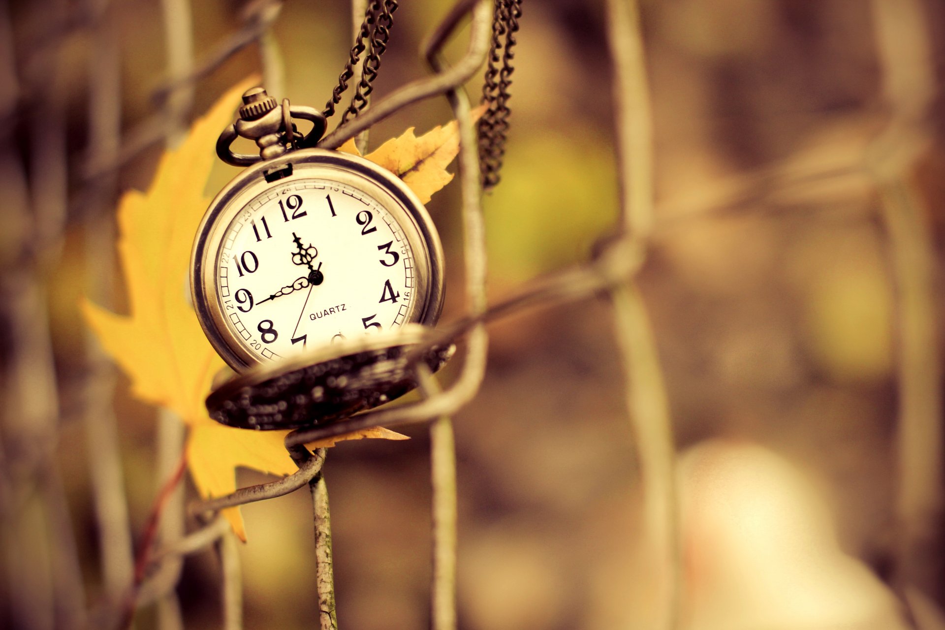 horloge pendentif cadran mains temps clôture grille feuille jaune automne macro nature