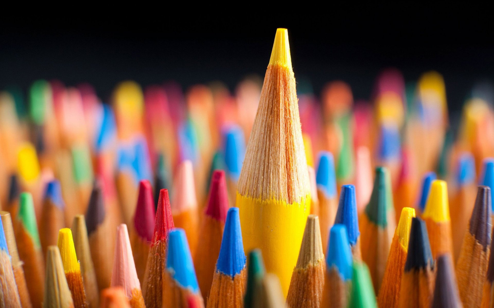 pencils colored blue red macro color yellow red green macro