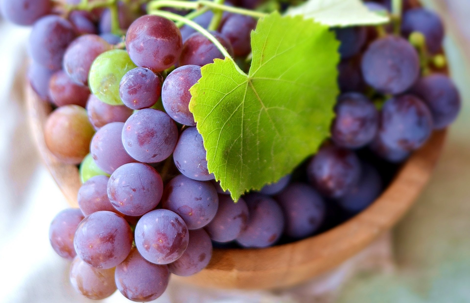 grapes berries clusters leaves green close up