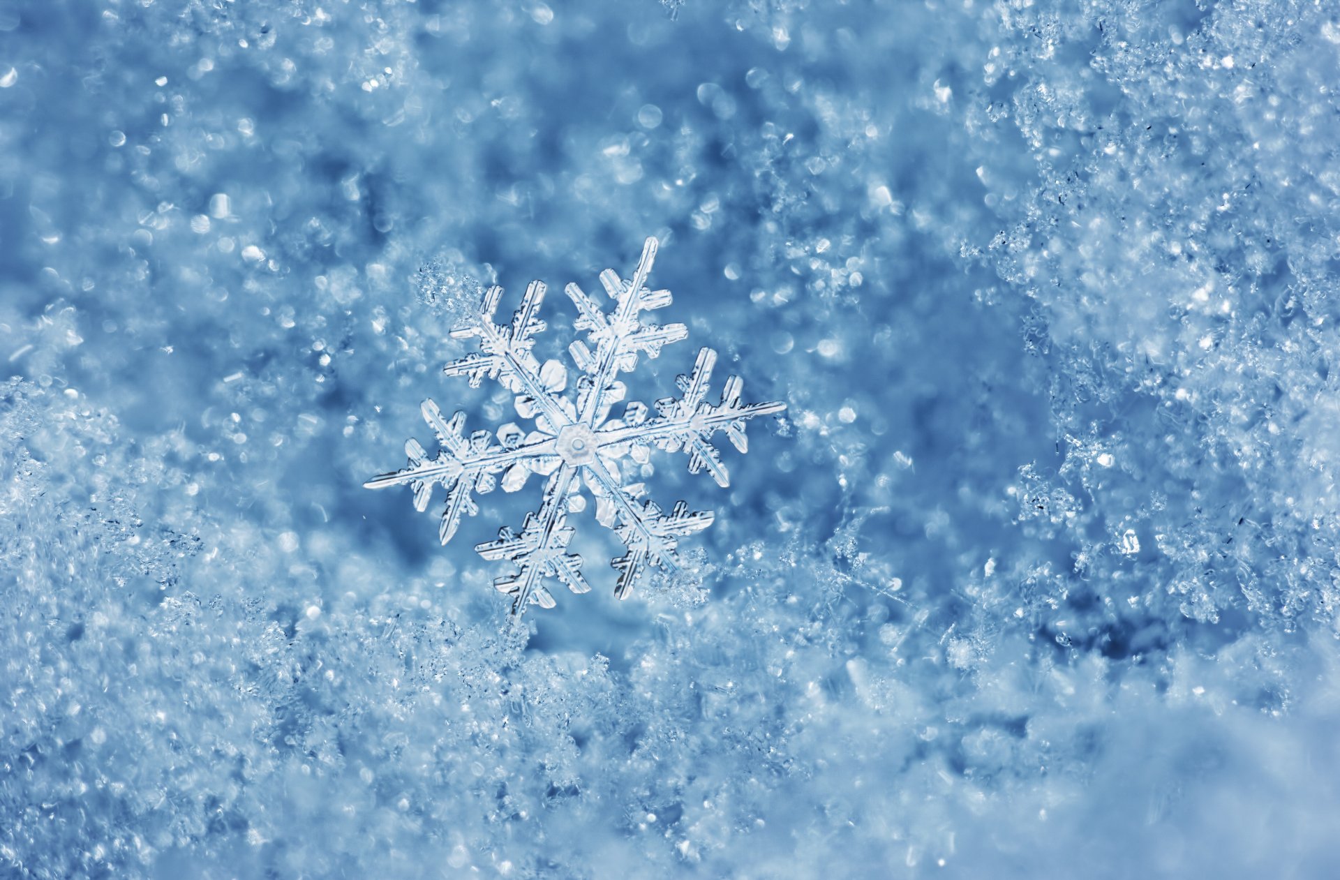 fiocco di neve ghiaccio acqua inverno macro