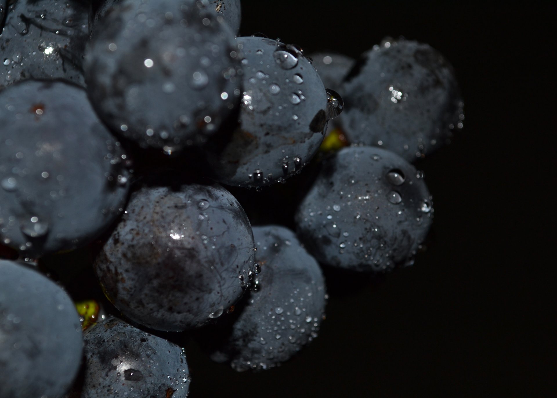 raisins fond noir gros plan gouttes