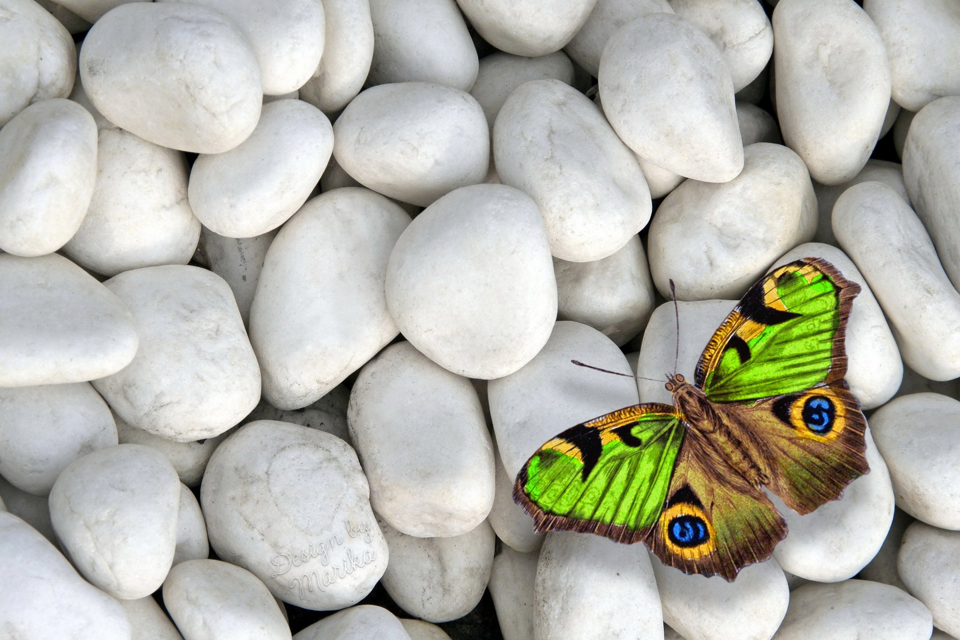 mariposa piedras blancas colorido diseño de marica piedras