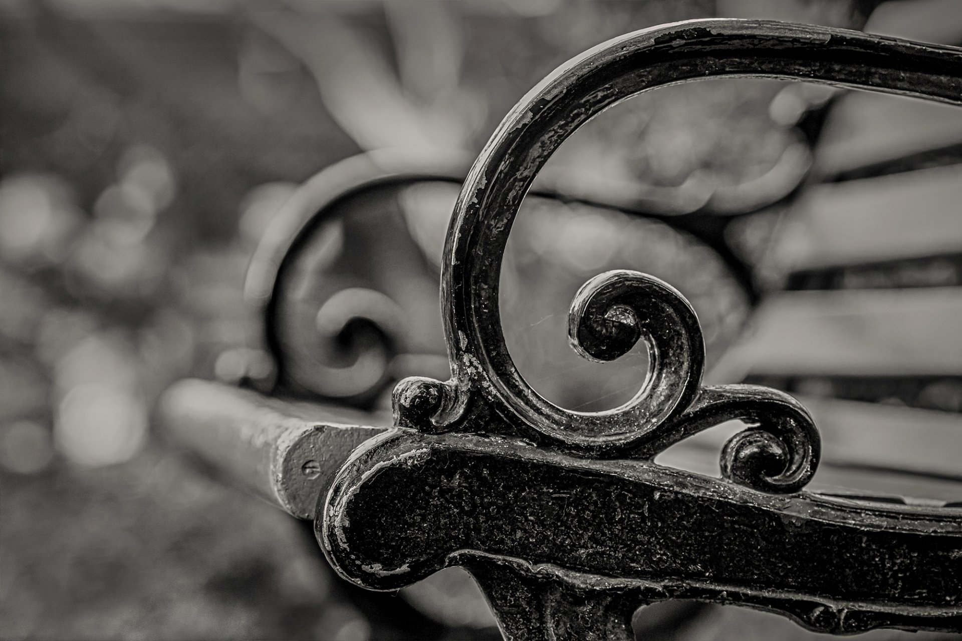 macro banc banc banc banc flou noir et blanc