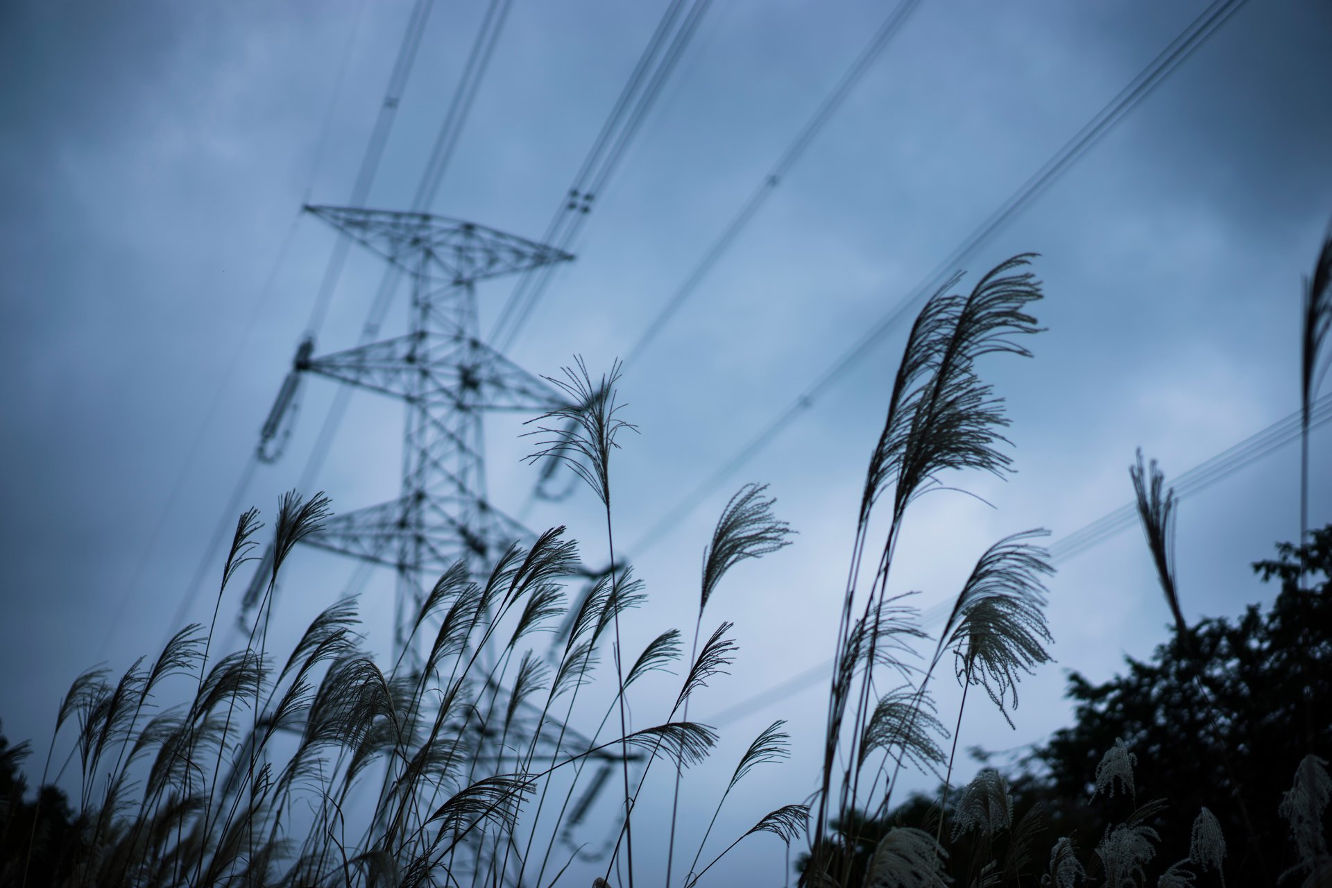 ligne électrique ciel herbe