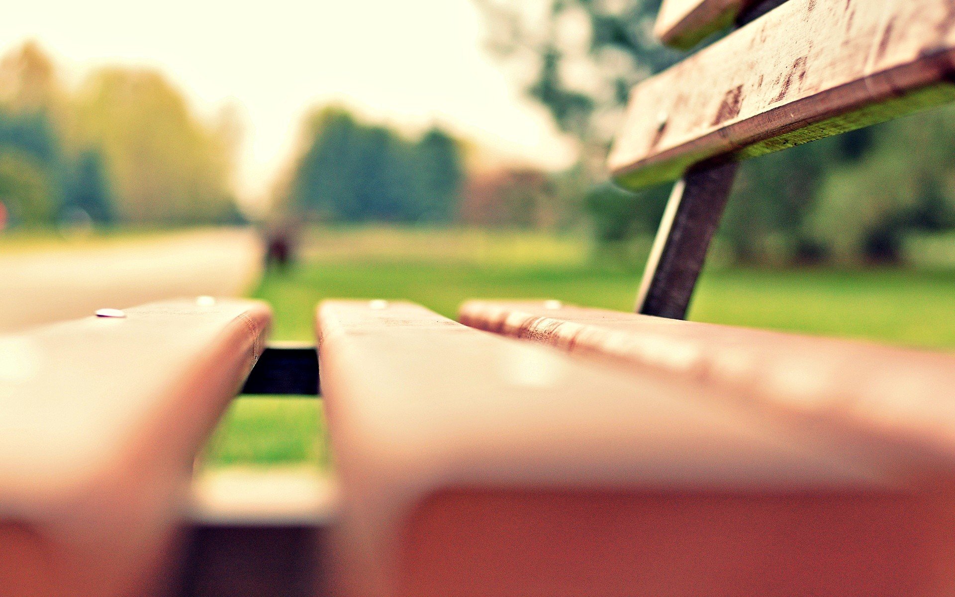 macro bench bench bench park meadow greenery grass blur bokeh macro poster background wallpaper widescreen fullscreen widescreen widescreen