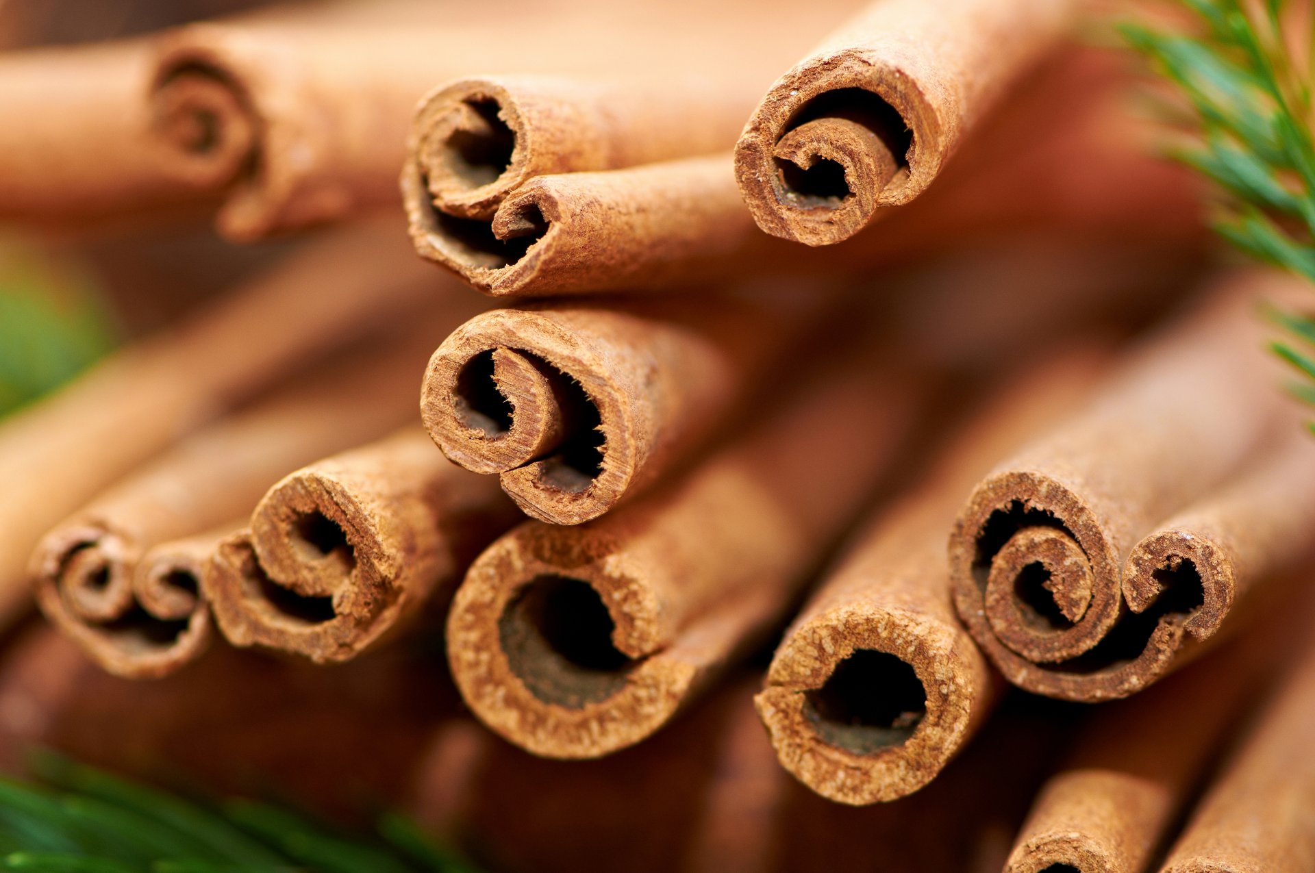 cinnamon sticks spice close up