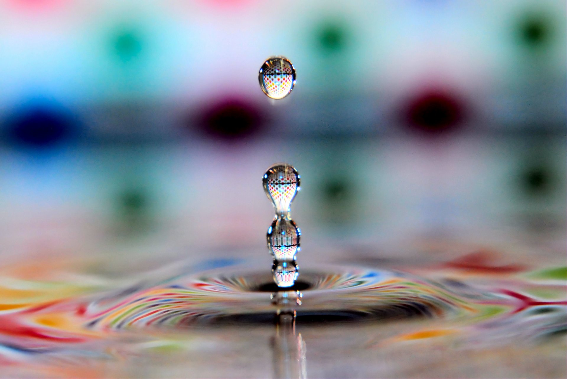 water drop refraction flowers close up