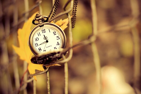 The clock on the fence on an autumn day