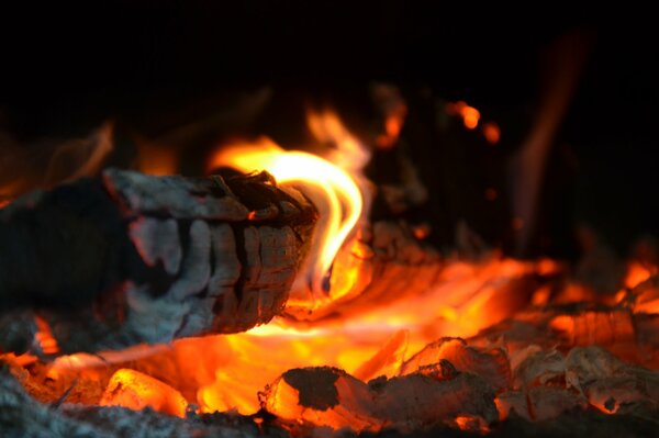 Fotos de troncos rojos ardiendo