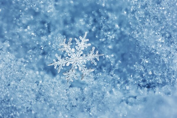 A very beautiful snowflake in frosty winter