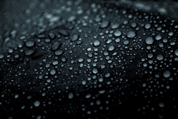 Gotas de agua macro en el paraguas