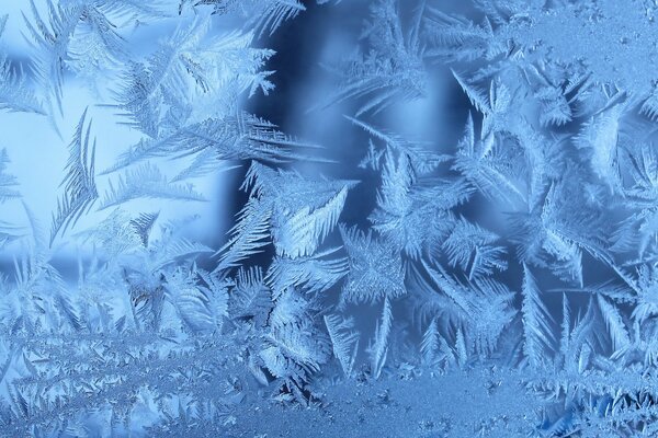 Le gel a appliqué du givre sur le verre