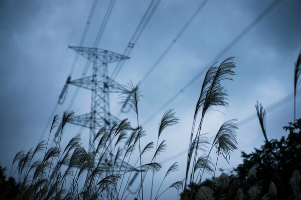 Power lines against a gray sky