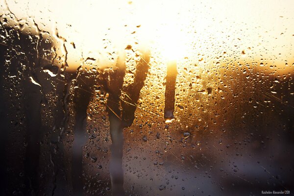 Espray de la lluvia en el vidrio de la máquina