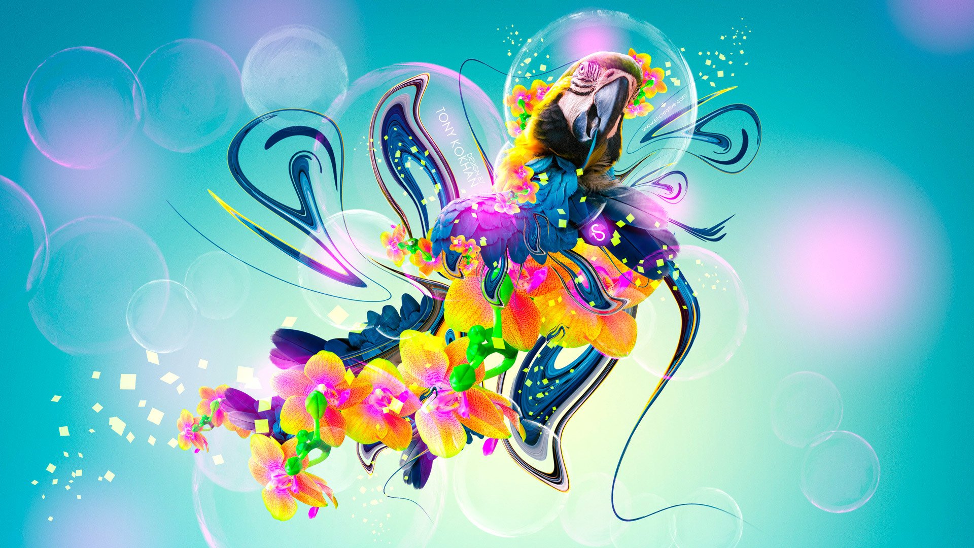 tony kohan parrot flowers fantasy multicolors neon plastic fly bird el creative photoshop wallpaper style plastic multicolored multicolored art 2014