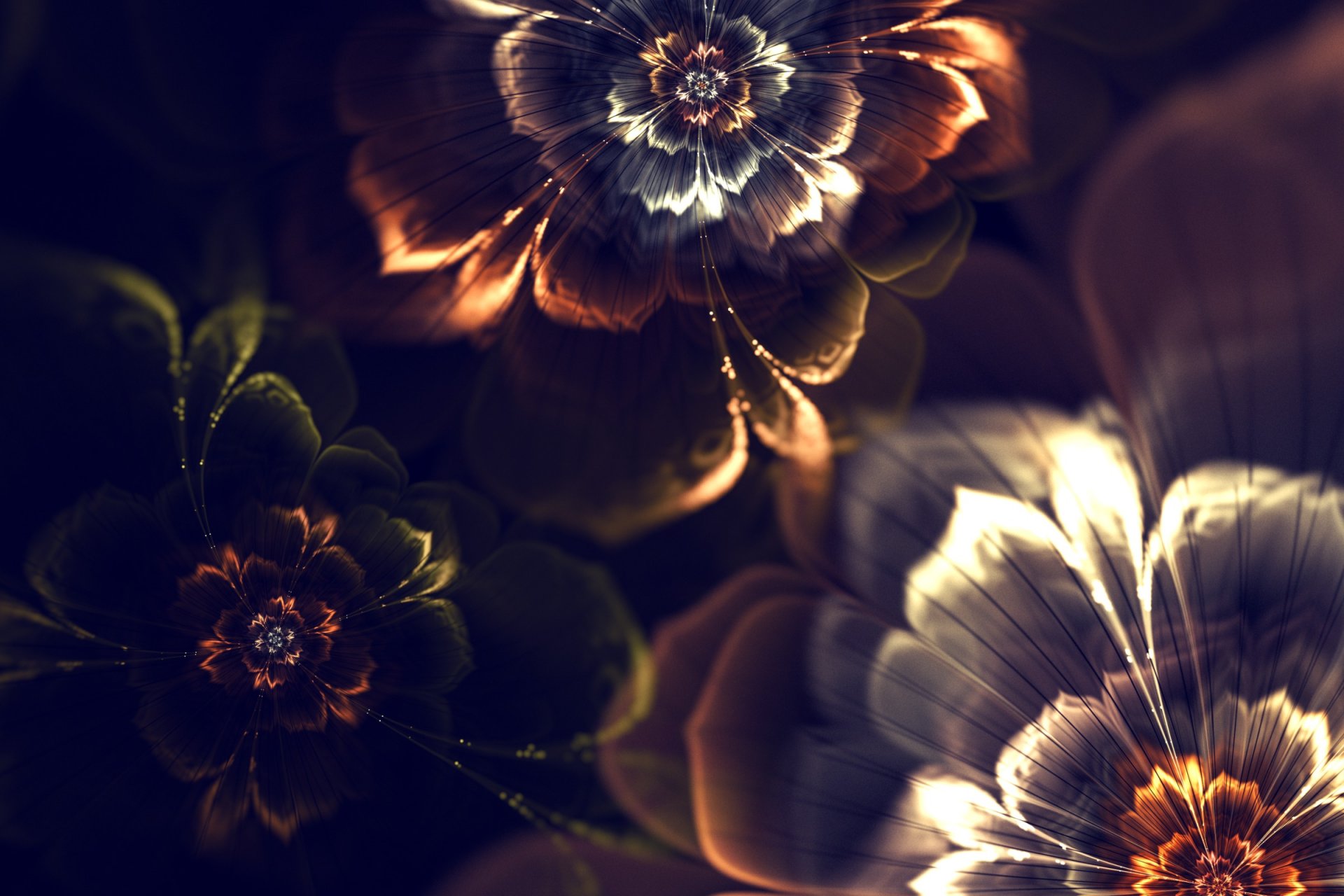 abstract fractal graphics flower wallpaper light