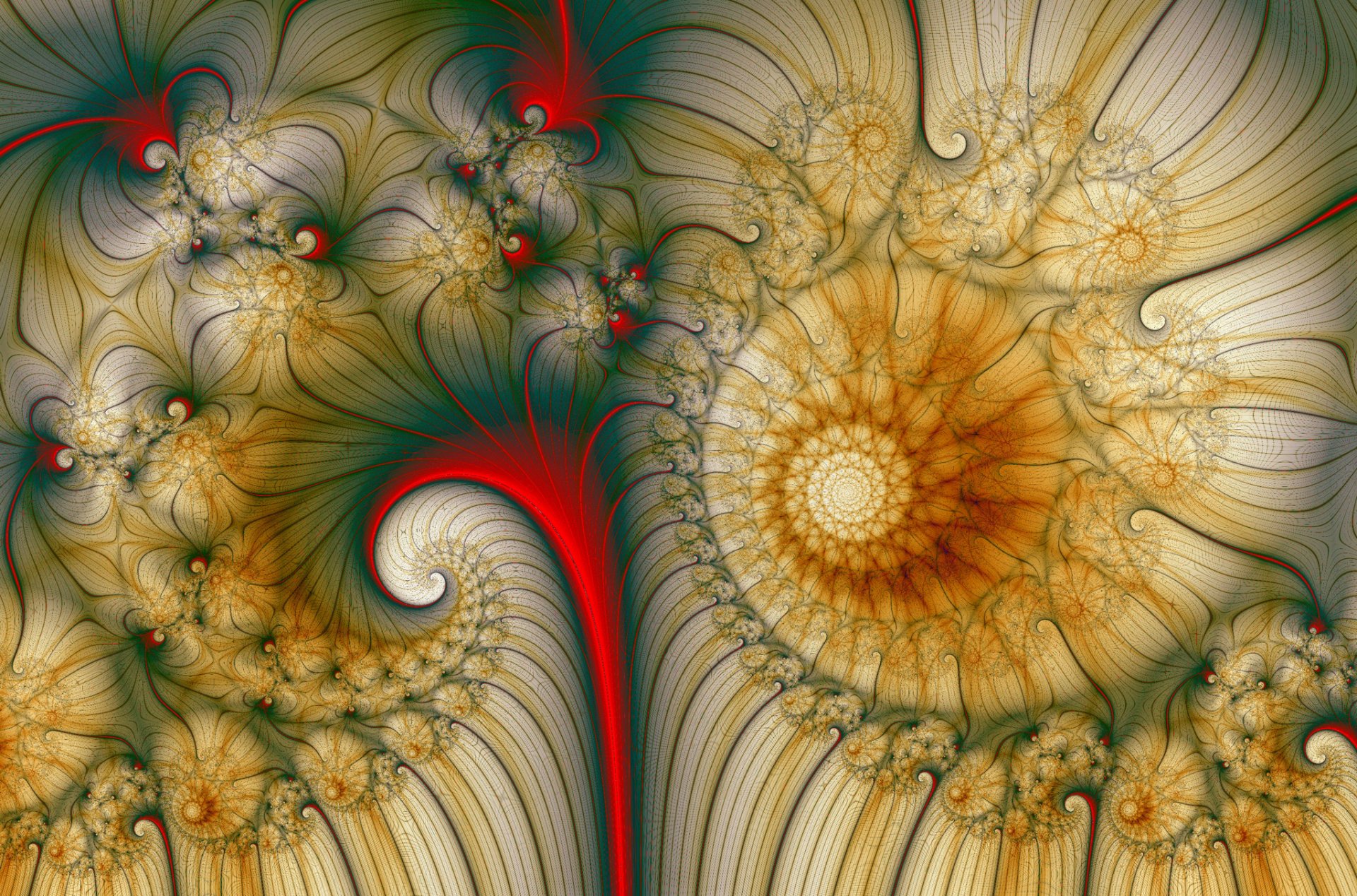 patrón fractal color espiral