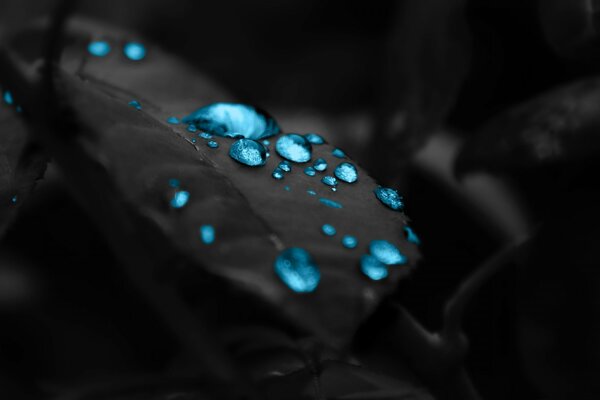 Blaue Tropfen liegen auf dem Stein