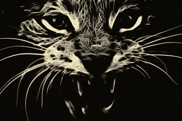 The cat s grin. Abstract picture