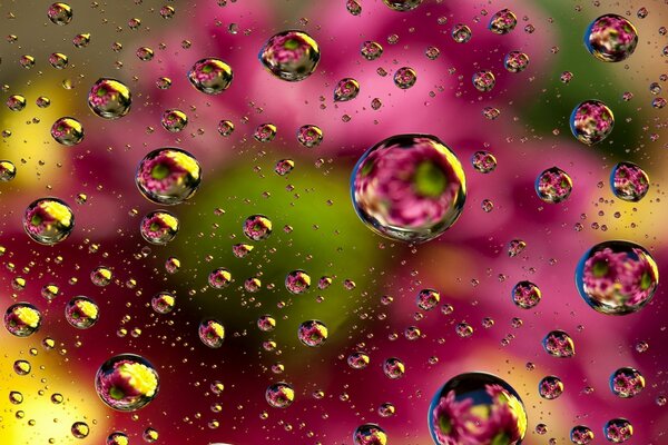 Bubbles of raindrops of floral abstraction