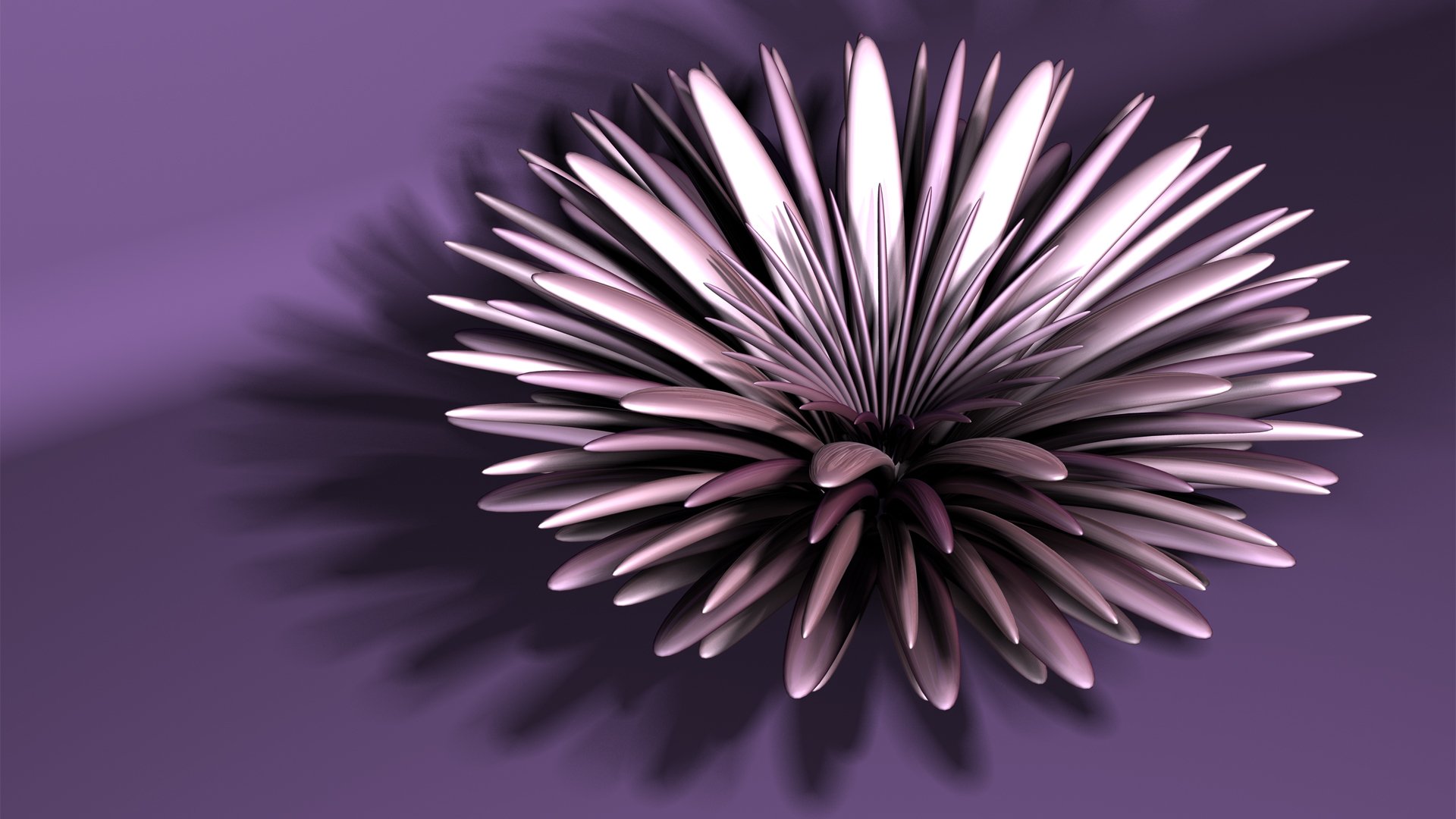 abstract fractal flower aster