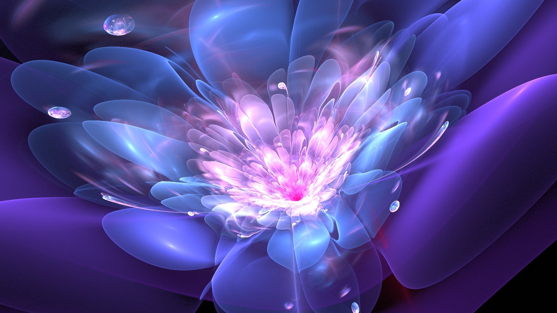 graphics abstract fractal flower drops line