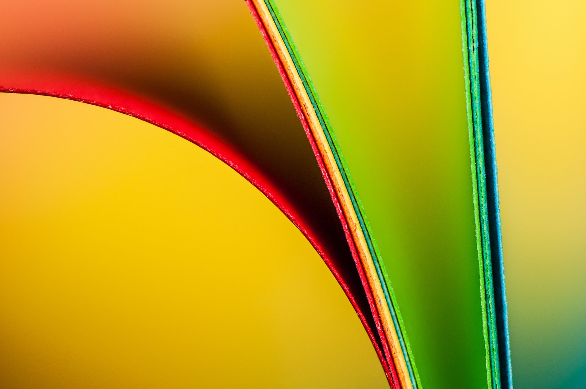 paper sheet bending flowers close up rainbow