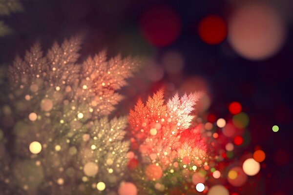 Christmas tree branch in the light of bokeh