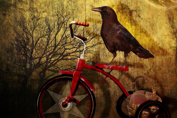 Sur le fond d un arbre, un corbeau est assis sur un tricycle