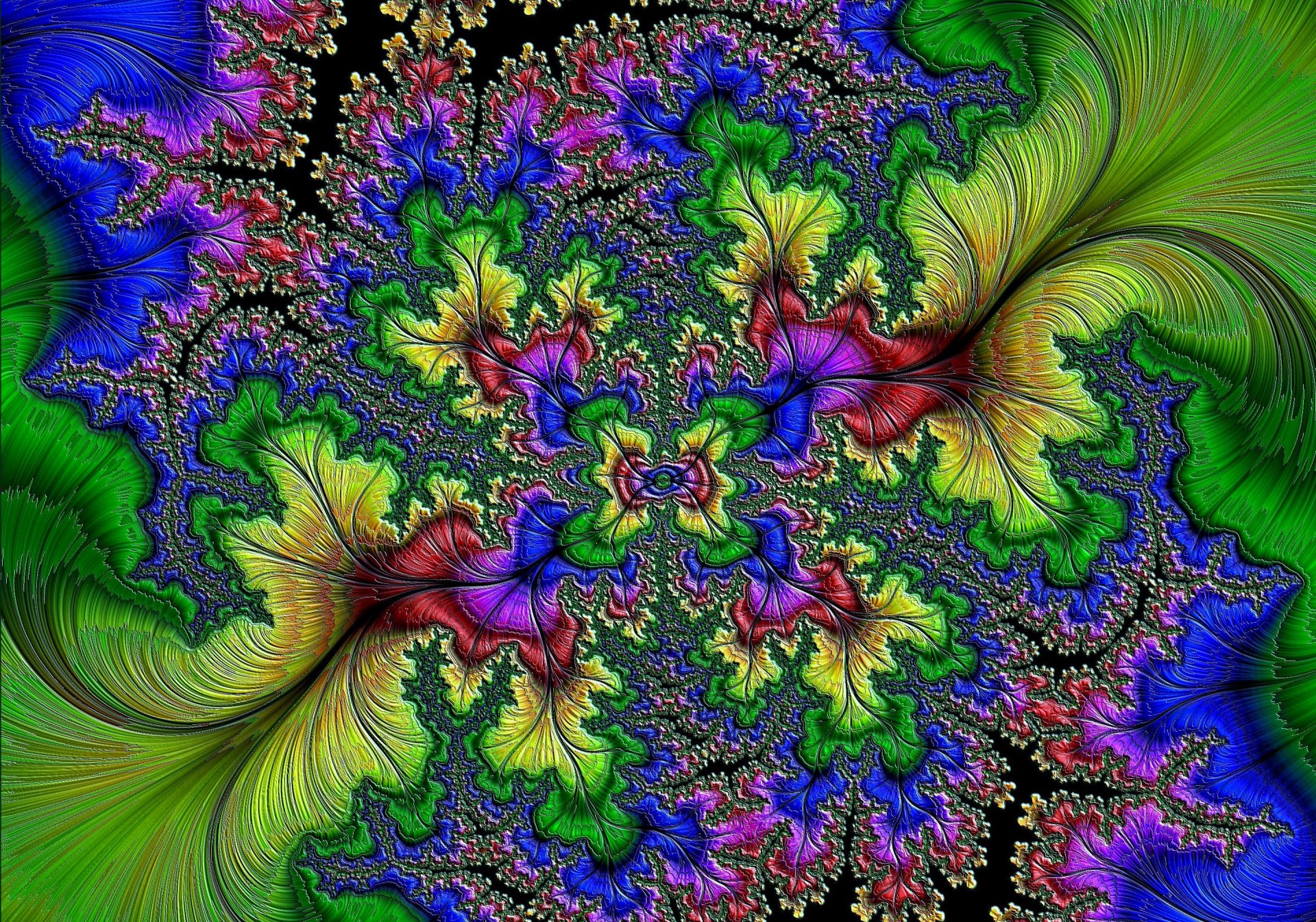 color patrón pétalos simetría relieve volumen