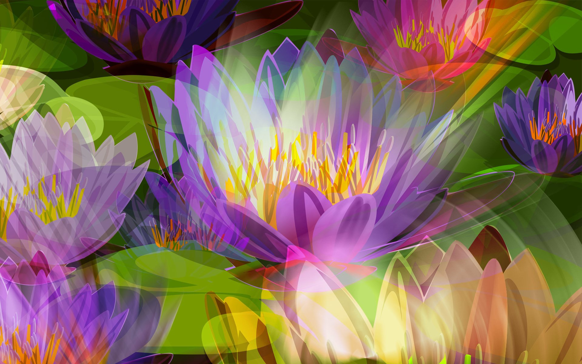 flower picture meadow bed petals stamens lotu