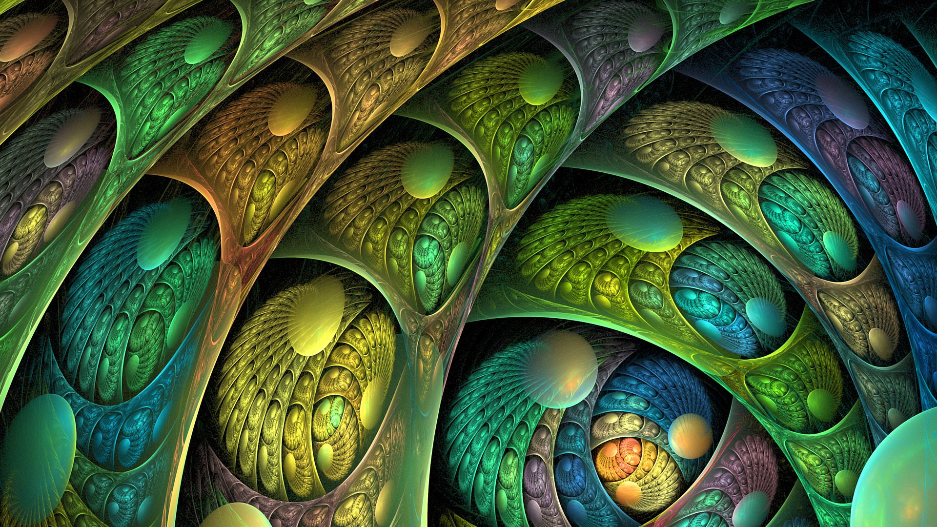 light flowers pattern line volume