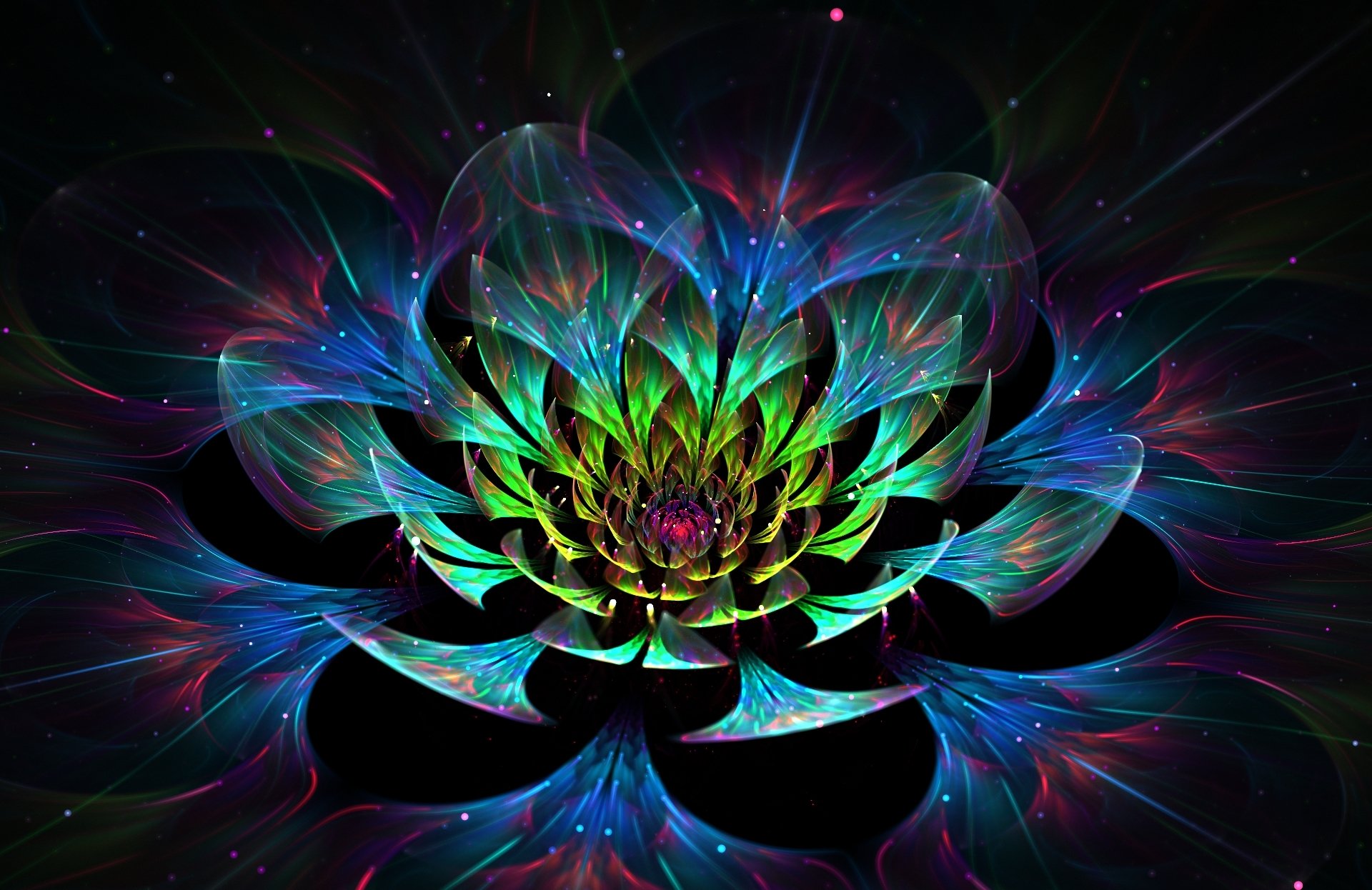 3d graphisme abstraite fleur lotus pétales