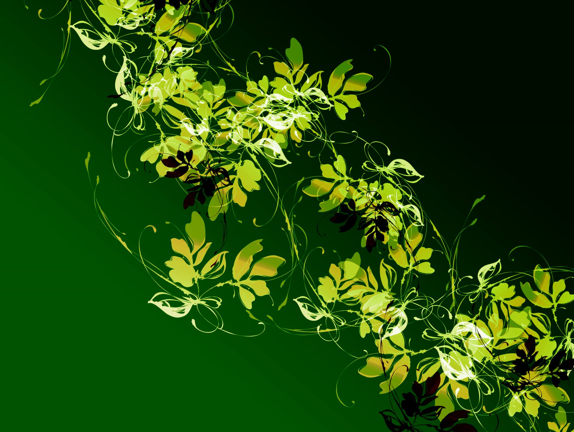 modello pianta liana foglie luce colore contrasto