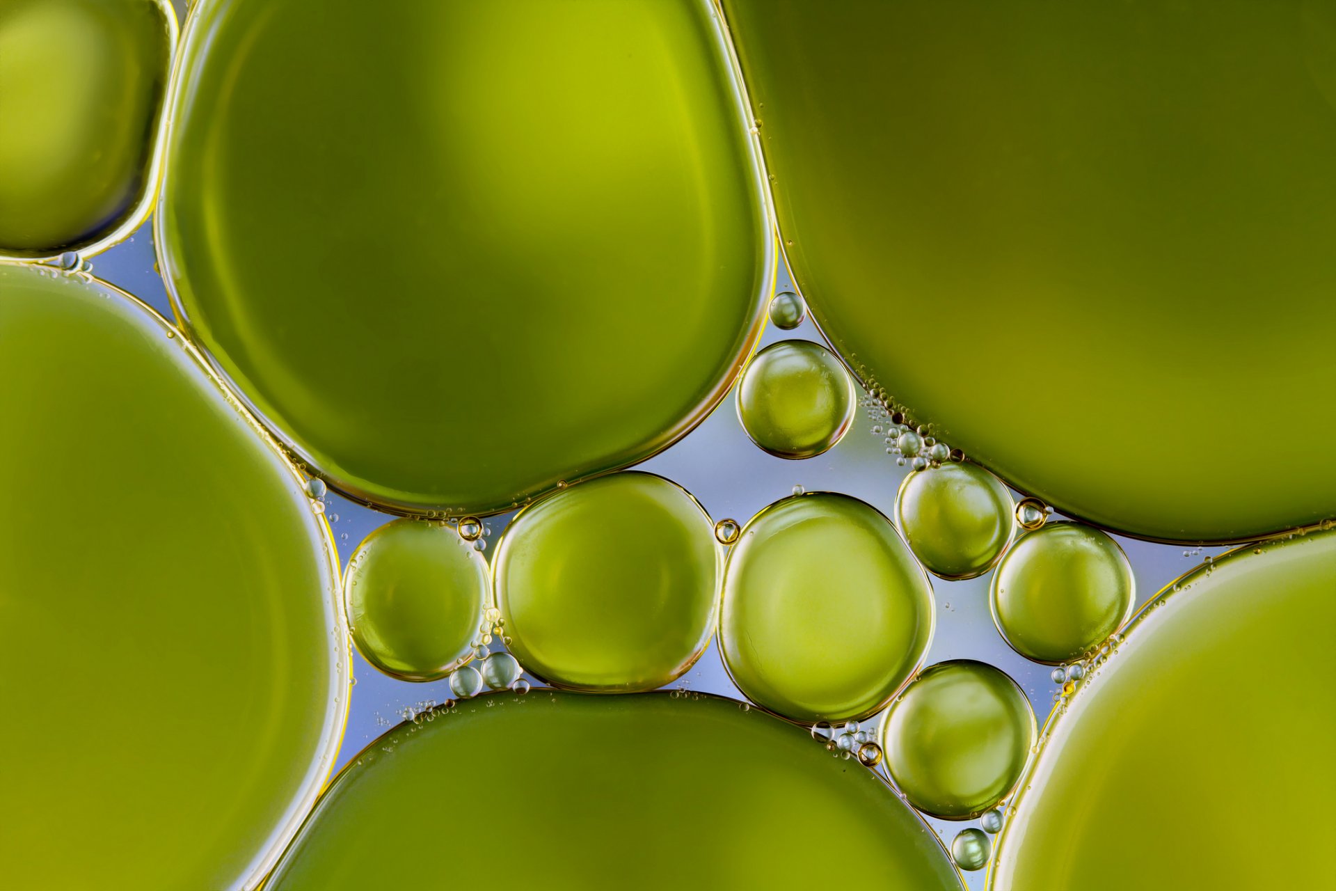 agua burbujas burbujas verde perla