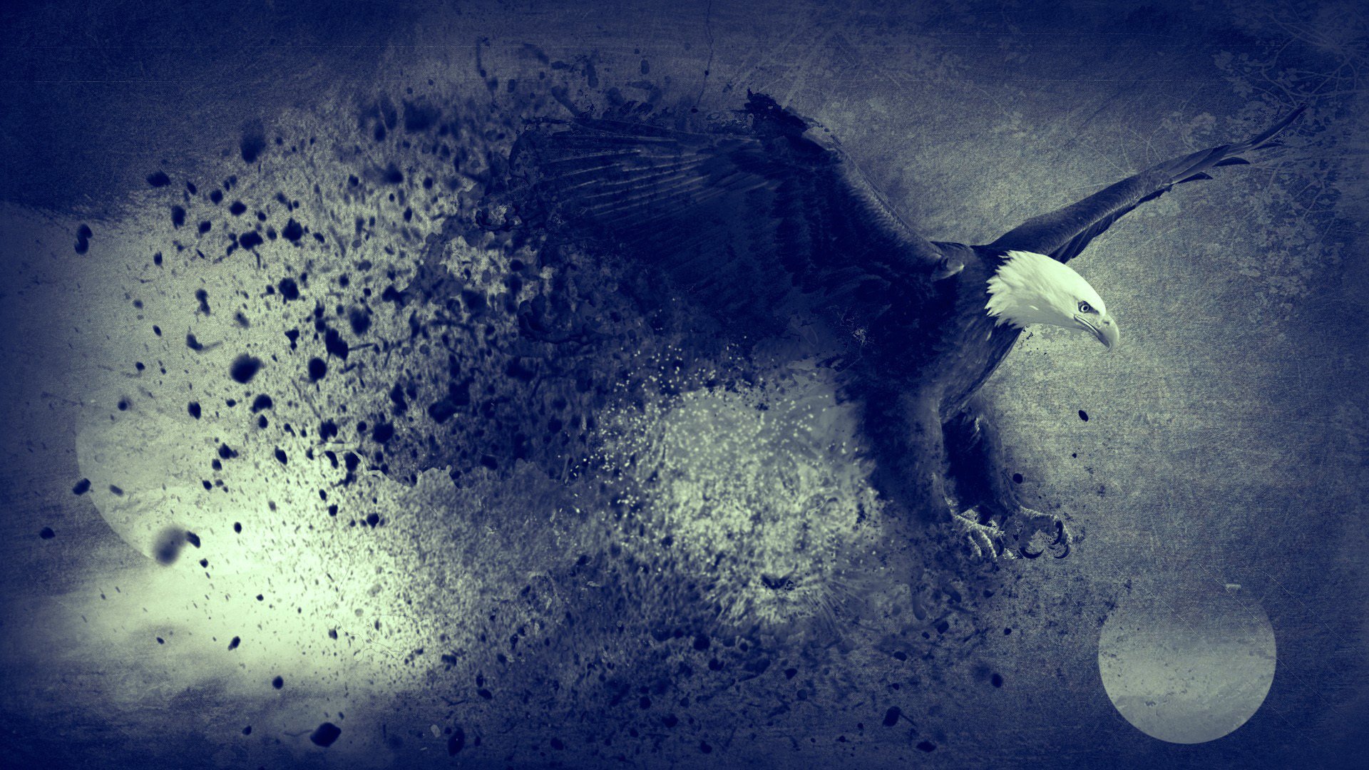 eagle moon blue freedom flying bird abstract digital art artwork